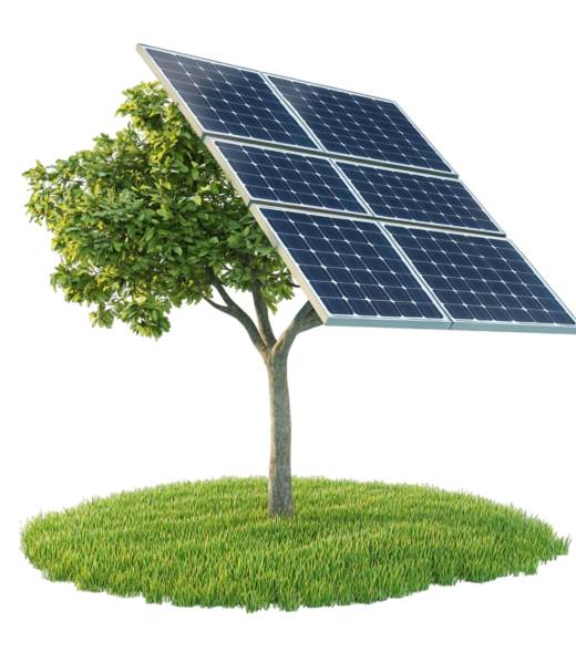 solar-power-tree-green-energy-innovation solar-power-tree-green-energy-innovation